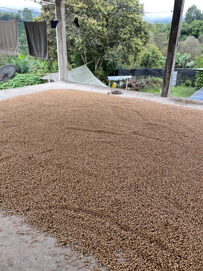 Crem dela 02 Colombia